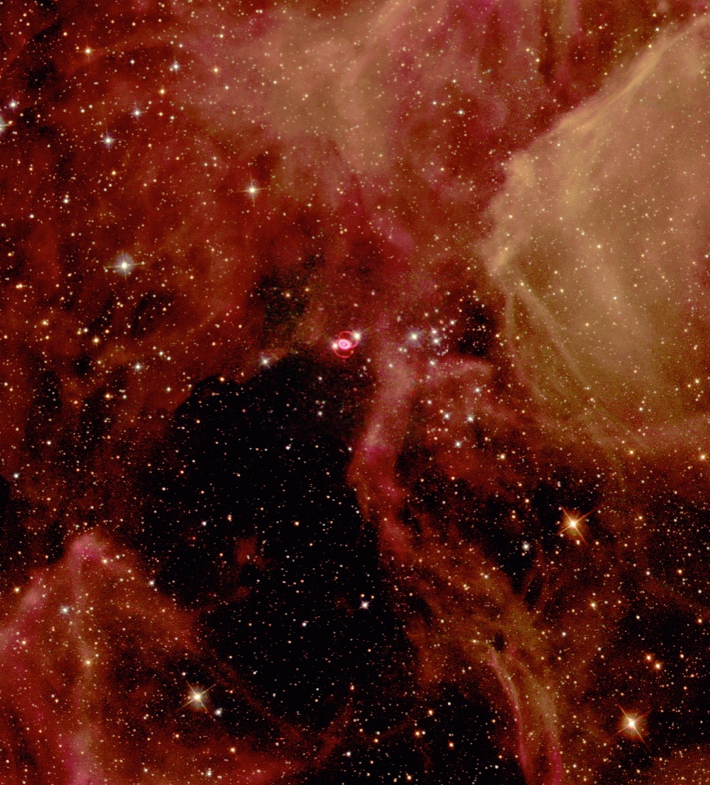 Hubble Space Telescope image of supernova 1987A in the Large Magellanic Cloud: a small bright ring of ejected material at the centre of a field of gas clouds and stars.
